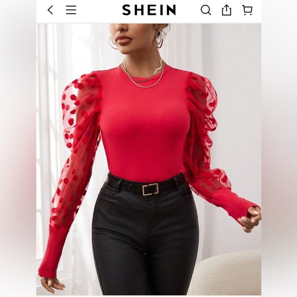 SHEIN Privé Contrast Dobby Mesh Gigot Sleeve‎ Top- worn a few times - Picture 3 of 8